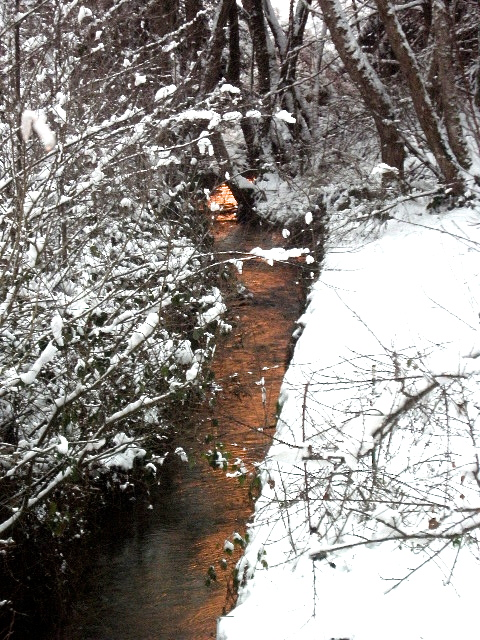 le ruisseau dans la neige